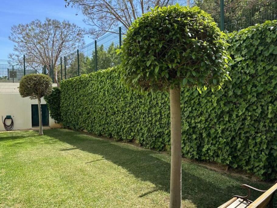 Three Bedroom Apartment, Prime Javea Location Εξωτερικό φωτογραφία